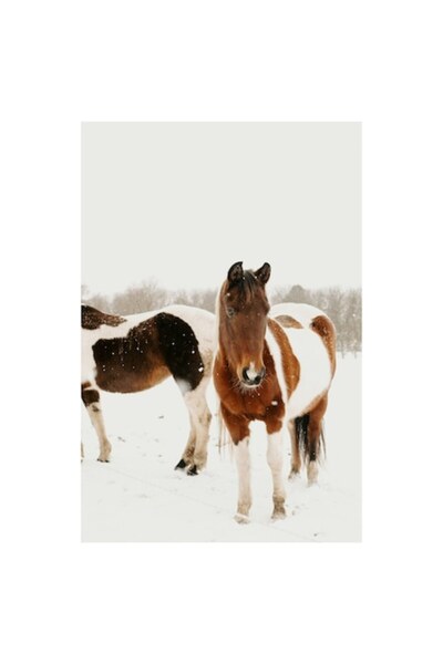 OEM Pictură pe pânză, „Cai în zăpadă pe câmp deschis”, Peisaj de iarnă
