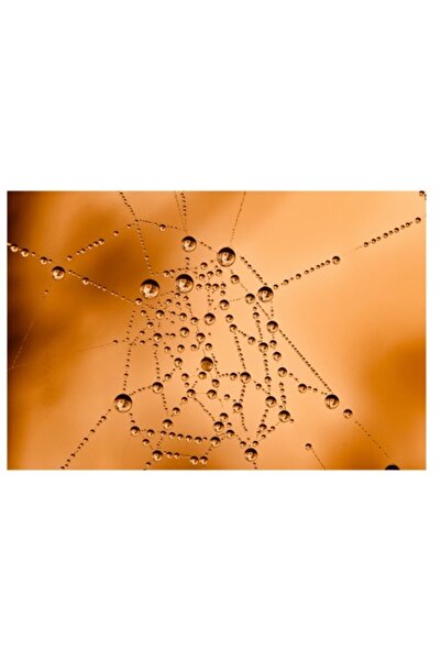 OEM Pictură pe pânză, „Picături de rouă pe pânză aurie”, Artă modernă