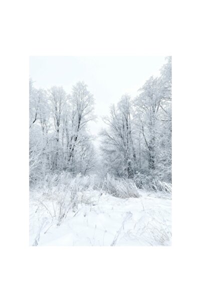 OEM Tablou Canvas, 'Tacerea iernii in padurea alba', Alb, Inghetat, Padure, I...