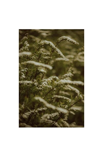 OEM Tablou Canvas, "Prospetimea florilor de primavara", Flori, Ramuri, Verdea...