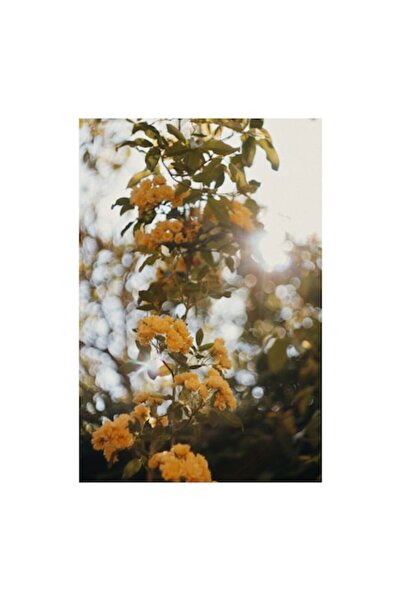 OEM Pictură pe pânză „Raze de soare prin flori galbene”, 70 x 100cm