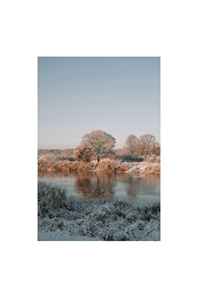 OEM Tablou Canvas, "Rasarit de iarna langa rau inghetat", Copaci, Reflectii, ...