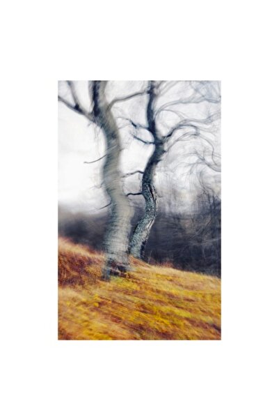 OEM Pictură pe pânză, „Dansul copacilor în briză”, 50 x 90cm