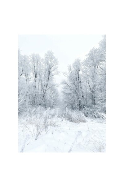 OEM Pictură pe pânză „Tăcere de iarnă în pădurea albă”, 39 x 54 cm