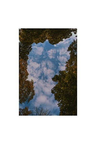OEM Pictură pe pânză „Cer prin frunze de toamnă”, Natură, 50 x 90cm