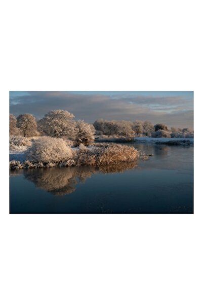 OEM Tablou Canvas, 'Raul inghetat sub soarele diminetii', Pomi, Zapada, Apa, ...