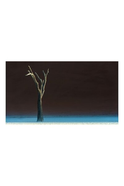 OEM Pictură pe pânză, „Copac singuratic sub cer întunecat”