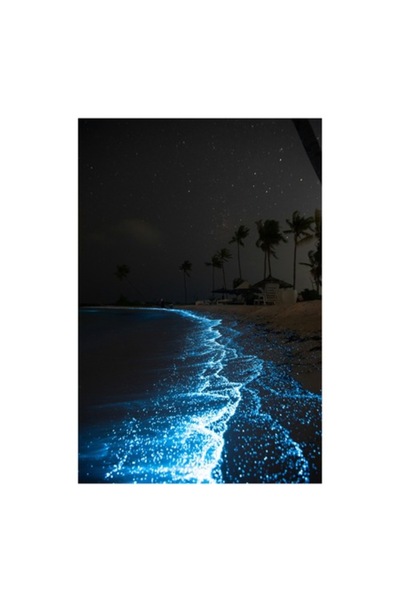 OEM Pictură pe pânză, „Valurile strălucitoare ale oceanului nocturn”, 39 x 54 cm