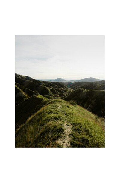 OEM Tablou Canvas, "Culmile verzi sub cer senin", Peisaj, Munti, Verdeata, Carare, Cer, Lumina, Natura,