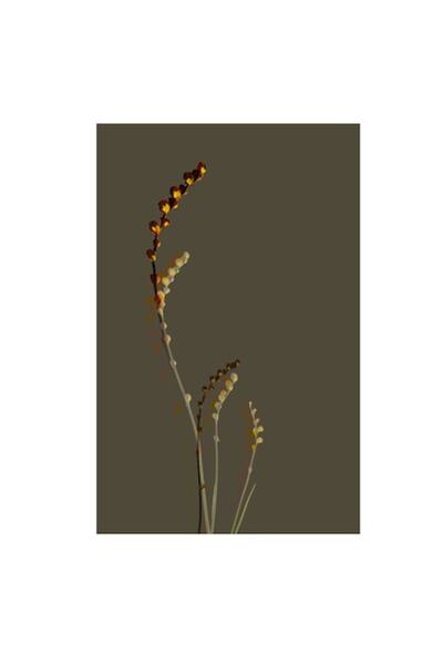 OEM Pictură pe pânză, „Frumusețea discretă a naturii de toamnă”, Frunze, Ramuri, Umbră, Minimalism, Natur