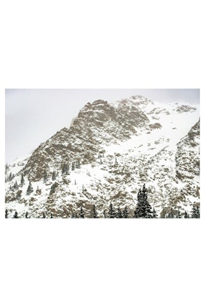 OEM Pictură pe pânză „Vârf de munte acoperit de zăpadă”, Munte, Zăpadă, Copaci, Nori, Gri, Rece, Sălbăticie,