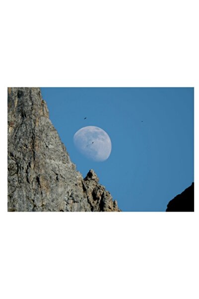 OEM Pictură pe pânză, „Lună printre vârfurile stâncoase ale Munților”, albastră, 70 x 50 cm