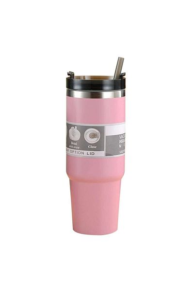 2DAYFIND Stainless Steel Thermos Mug with Lid and Reusable Straw, 600 ml, Pink