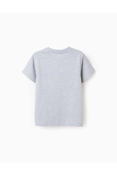 Ziddy Cotton T-shirt with Avengers Motif for Boys, Grey