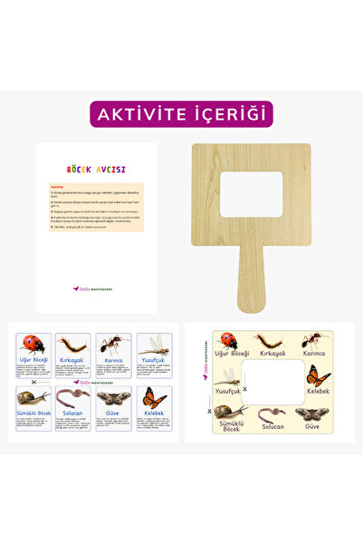 Dodo Montessori مجموعة مراقبة وتحديد الحشرات - نشاط تعليمي عن الحشرات للأطفال...