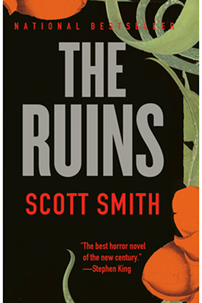 Vintage Books The Ruins