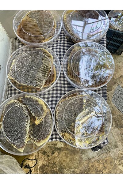 KAZDAĞLARI ORGANİK LEZZETLER Kazdağı Petek Karakovan Balı