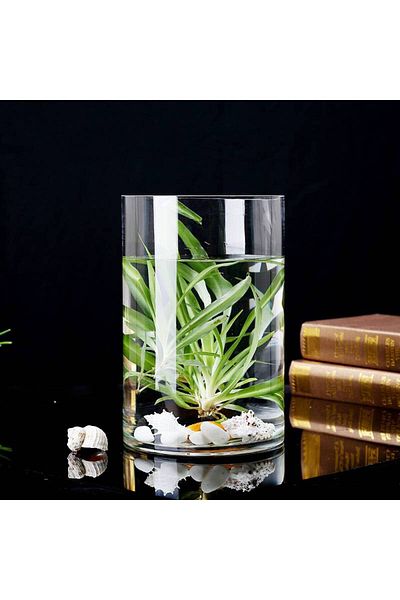 GREEN TOWN 10x20 cm cylindrical glass vase