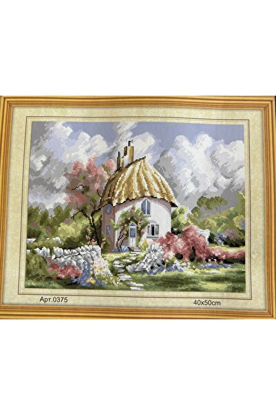 iğne izi Goblen Etamin Işleme Seti 40x50 Cm 375