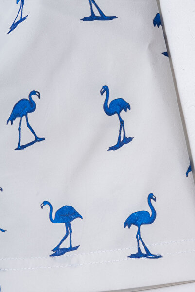 Verscon Boy's Sea & Pool Shorts Swimsuit 3 - 11 Years