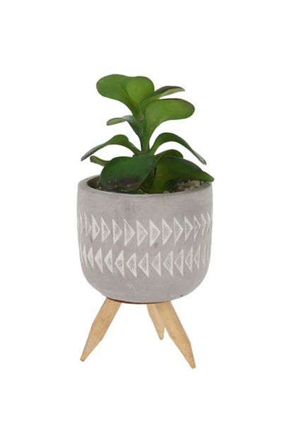Koopman Artificial Mini Succulent Plant, Azay Design, H 16cm, in cement pot with wooden legs