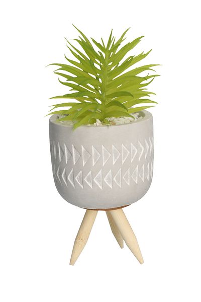 Koopman Artificial Mini Succulent Plant, Azay Design, H 16cm, in cement pot with wooden legs