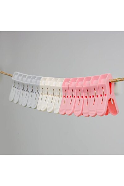 Generic مشبك ملابس ديلكاسا، 16 قطعة، بلاستيك ومكواة، DC2006، مشابك ملابس الغس...