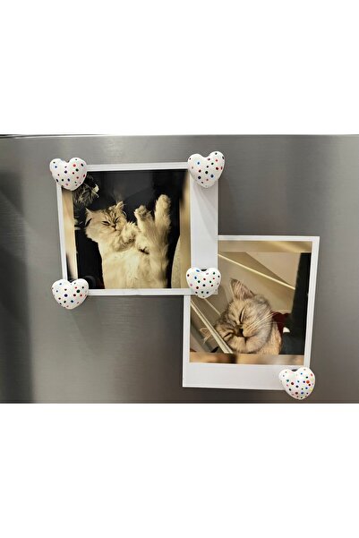 Home 5'li Kalpli Renkli Puantiyeli Magnet Seti – Dekoratif Buzdolabı Mıknatıs...