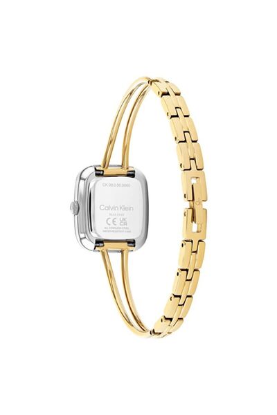 Calvin Klein Ck25100134 Women's Wristwatch