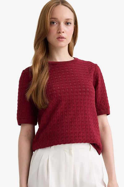 DeFacto Regular Fit Crew Neck Short Sleeve Knitwear Sweater F4974Ax25Au