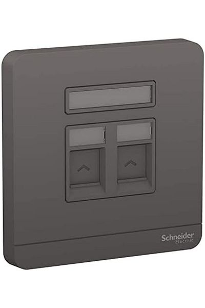 Schneider Electric AvatarOn E8332RJS_DG 1 Gang 2 Keystone Wallplate Jack RJ-45 Dark Grey