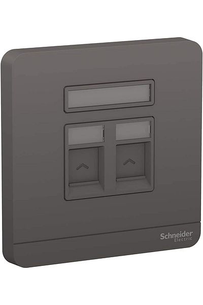 Schneider Electric AvatarOn E8332RJS_DG 1 Gang 2 Keystone Wallplate Jack RJ-45 Dark Grey