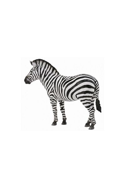 Collecta Zebra -