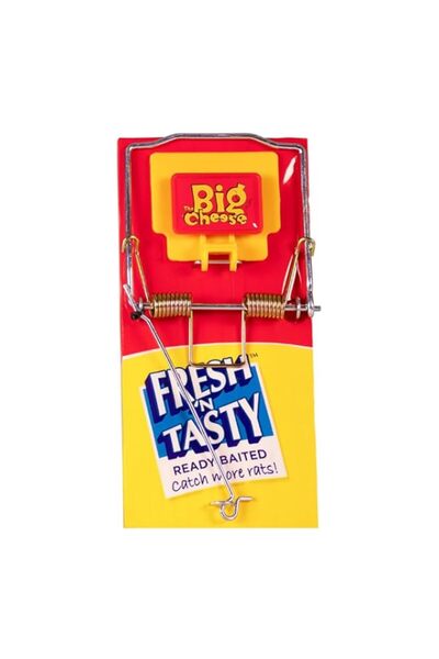 Generic مصيدة فئران STV Fresh Baited من The Big Cheese | طارد فعال للحشرات والبق | حماية طويلة الأمد