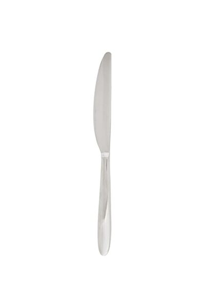 Generic WINSOR ST. STEEL DESSERT KNIFE