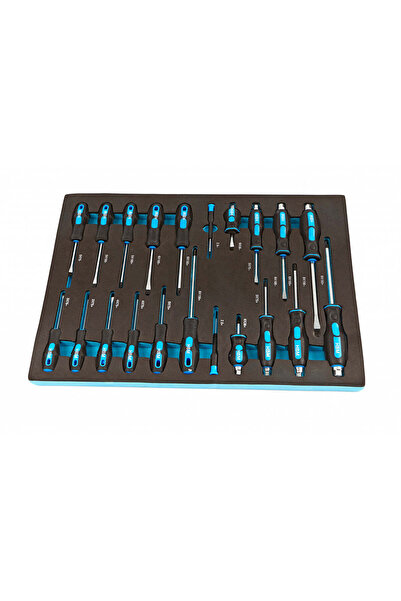HBM Machines TOOL CABINET MODULE WITH PROFESSIONAL SCREWDRIVERS, 21 PIECES HBM MACHINES, NETHERLANDS, 54 X 39.5 X 3 CM