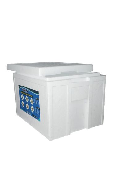 Styrotech Rectangular Outdoor Camping Cooler Box 20 Liter