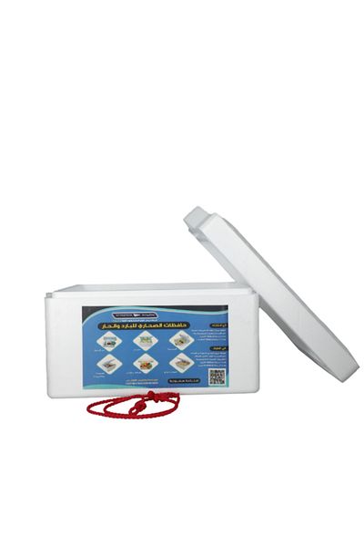 Styrotech Rectangular Outdoor Camping Cooler Box 10 Liter