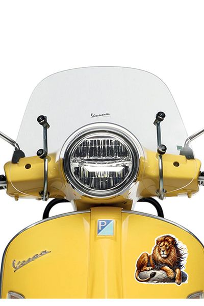 MegaSticker Noble Lion Sticker Car, Motorcycle, Helmet, Laptop, Glass Sticker 13X13 cm
