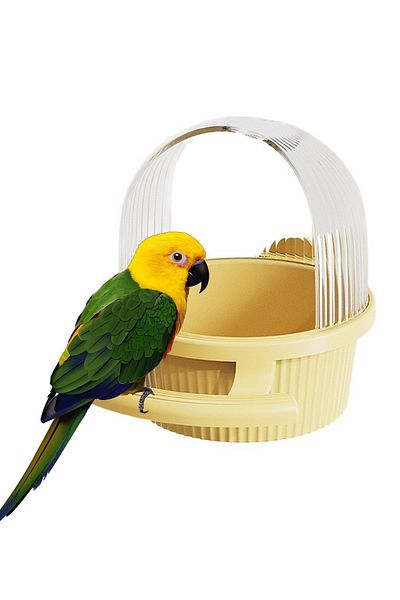 KidLe Bird Feeder Parrot Feeder Bird Food Dispenser for Outdoor