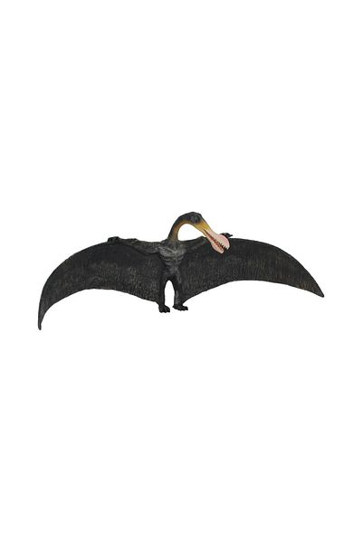 Collecta Figurina Ornithocheirus L