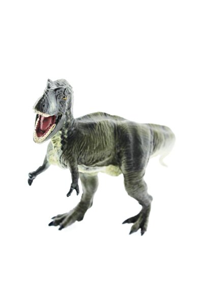 NEWBRENDHOME ألعاب تعليمية توضيحية على شكل ديناصور من البلاستيك الصلب - لعبة ...