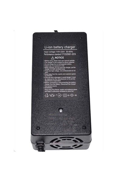 VTM Li-ion charger 67.2V-3Ah