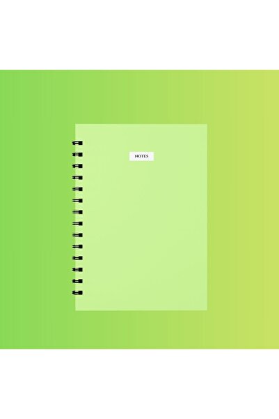 edinotes 4-Piece A4 School Notebook - 2 Checkered and 2 Lined