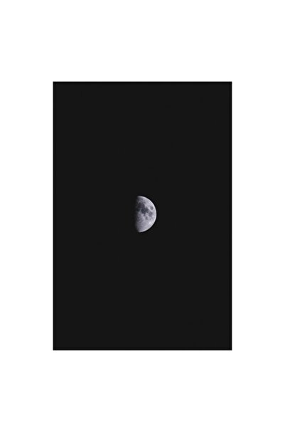 OEM Pictură premium pe pânză: Lună în seninătate