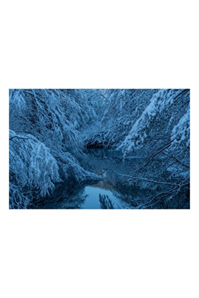 OEM Tablou Canvas, 'Iarna linistita pe raul inghetat', Alb, Inghetat, Tacut, ...