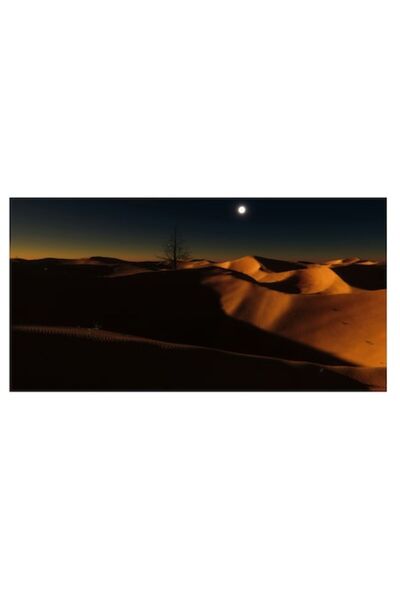 OEM Tablou Canvas Premium Solitudine in Desert