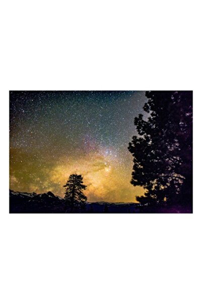 OEM Tablou Canvas, 'Stele stralucitoare peste padure intunecata'