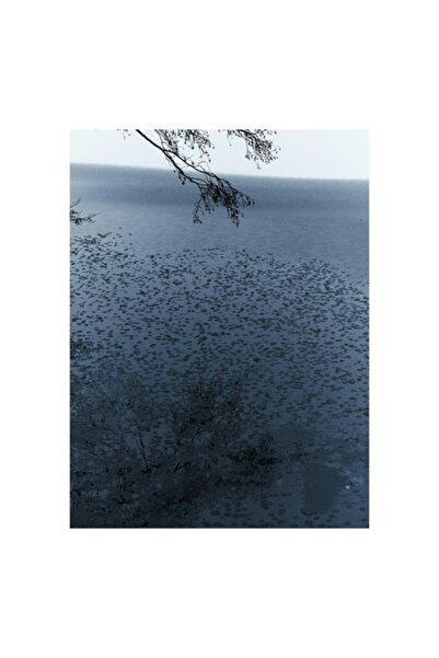 OEM Pictură pe pânză, „Frunze plutitoare pe oglinda apei”, Ramuri, Apă, Refle...