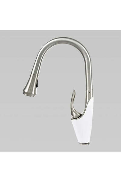KORMAN TECHNIK Kitchen Faucet with Pull-out Spray, Sanitary Brass, Chrome, W054